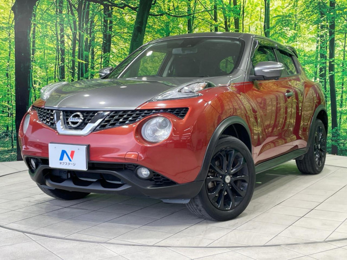 2017 Nissan JUKE DBA-YF15 (UW-6a1e4a6ca2a59)[0]