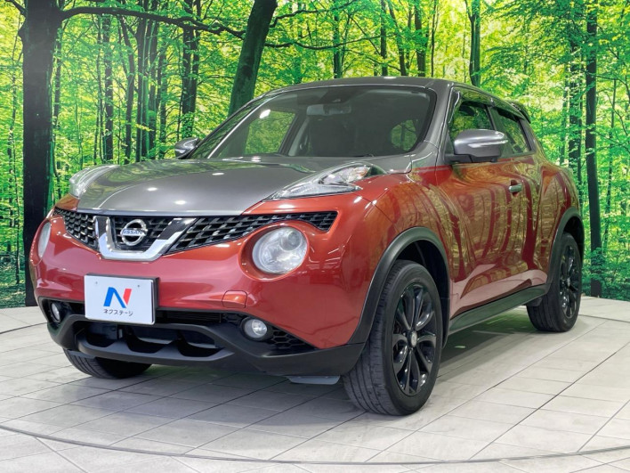 2017 Nissan JUKE DBA-YF15 (UW-6a1e4a6ca2a59)[6]