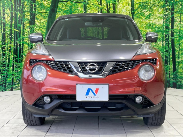 2017 Nissan JUKE DBA-YF15 (UW-6a1e4a6ca2a59)[7]