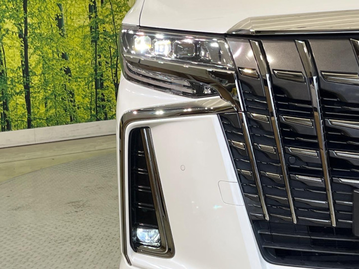 2021 Toyota Alphard Hybrid 6AA-AYH30W (UW-6a1f9a25ab5ec)[24]