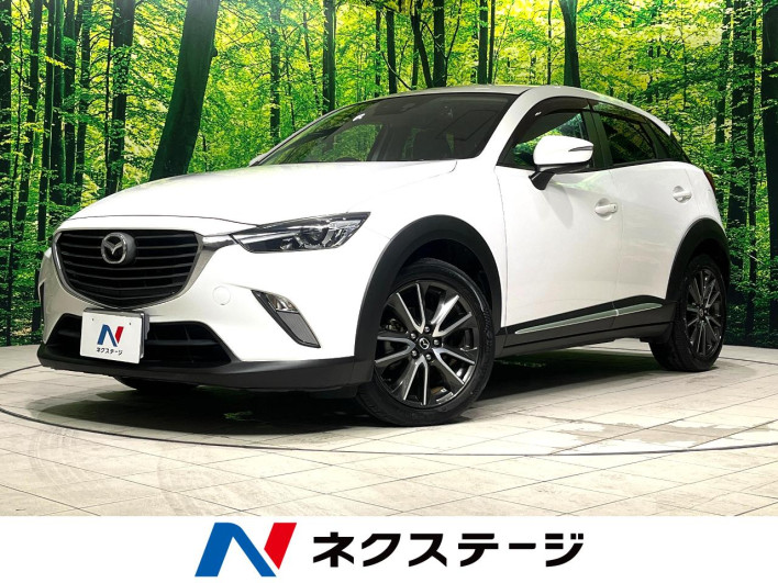 2015 Mazda CX-3 LDA-DK5FW (UW-6a1f9a5c79d55)[3]