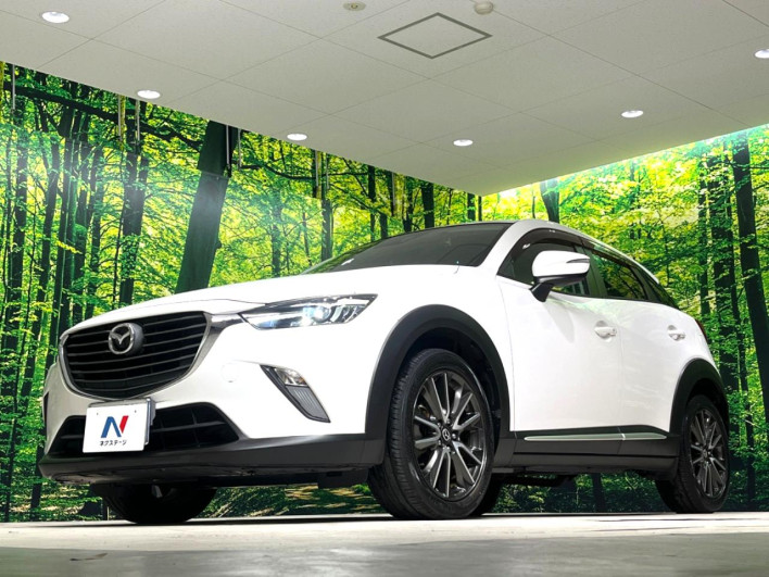 2015 Mazda CX-3 LDA-DK5FW (UW-6a1f9a5c79d55)[15]