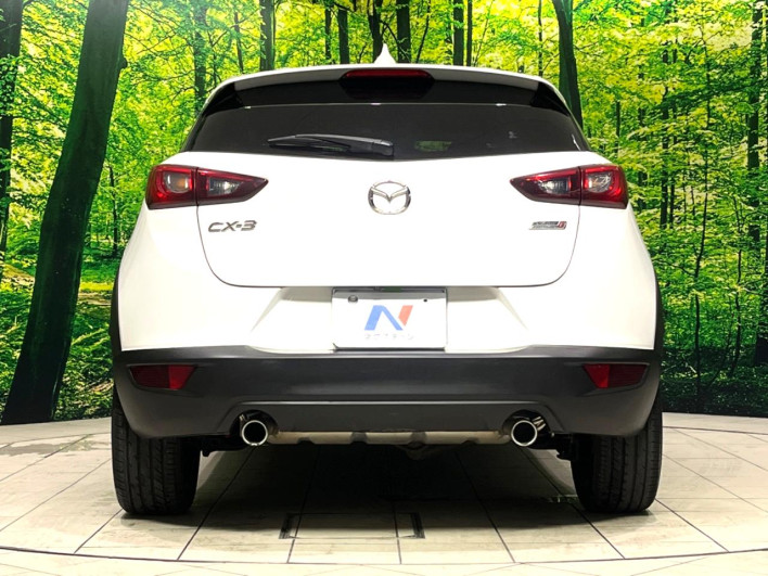 2015 Mazda CX-3 LDA-DK5FW (UW-6a1f9a5c79d55)[22]