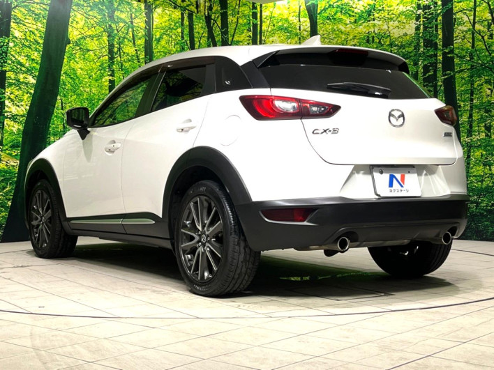 2015 Mazda CX-3 LDA-DK5FW (UW-6a1f9a5c79d55)[21]