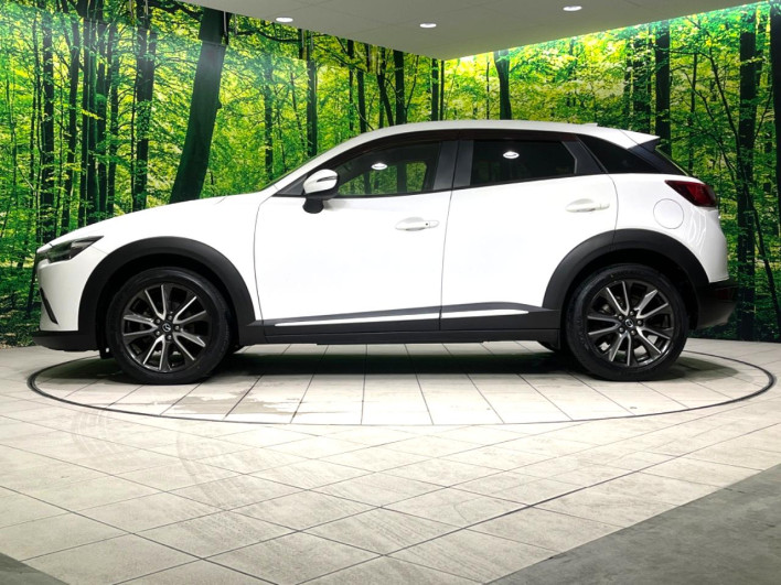 2015 Mazda CX-3 LDA-DK5FW (UW-6a1f9a5c79d55)[17]