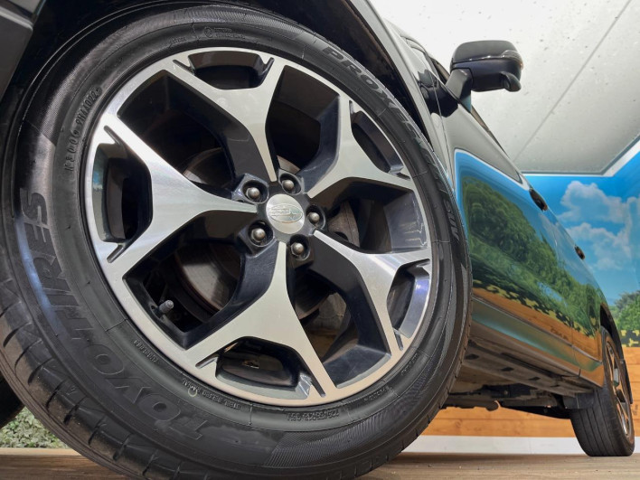 2014 Subaru Forester DBA-SJ5 (UW-6a1f9bbf9979b)[19]