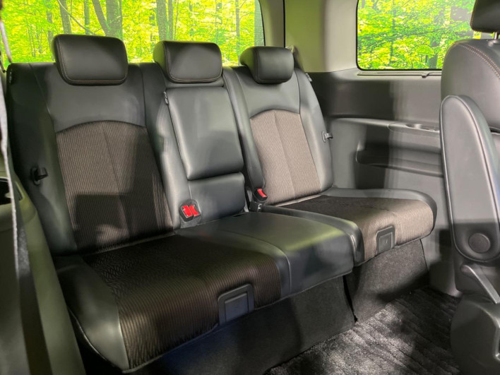 2016 Nissan Elgrand DBA-TE52 (UW-6a1f9bc86ab2e)[22]