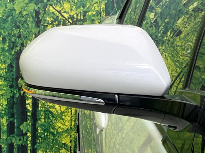 2018 Toyota Prius PHV DLA-ZVW52 (UW-6a1f9c0e0633f)[18]