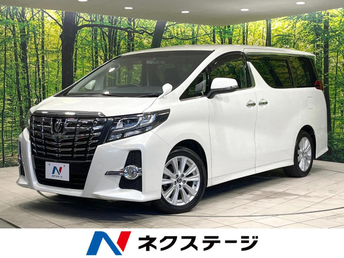 2017 Toyota Alphard DBA-AGH30W (UW-6a20eb9e18a01)[3]
