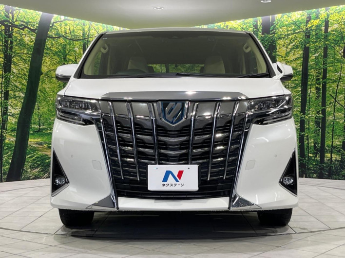 2019 Toyota Alphard Hybrid DAA-AYH30W (UW-6a20ebc00bbba)[9]