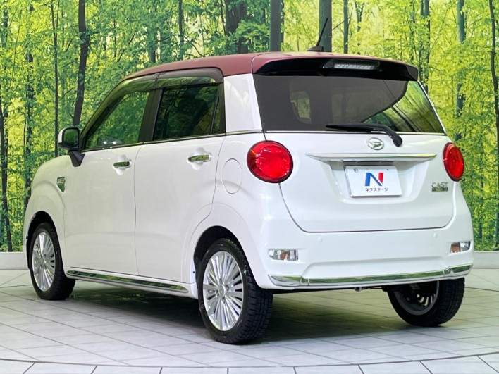 2019 Daihatsu Cast DBA-LA250S (UW-6a20ec9a746b9)[10]