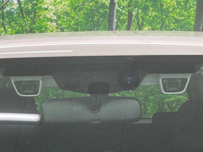2014 Subaru Forester DBA-SJ5 (UW-6a20ed70529e4)[19]