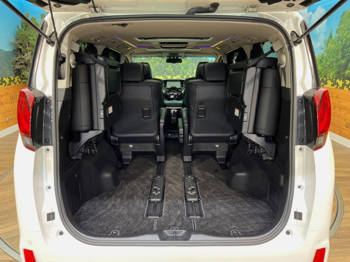 2016 Toyota Alphard Hybrid DAA-AYH30W (UW-6a223dbe5871c)[4]