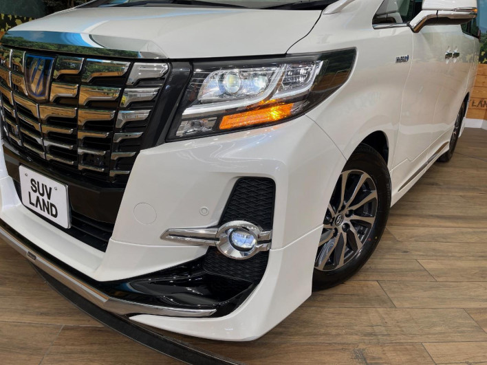 2016 Toyota Alphard Hybrid DAA-AYH30W (UW-6a223dbe5871c)[18]