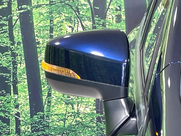 2017 Subaru XV DBA-GT7 (UW-6a223e3086bbb)[11]