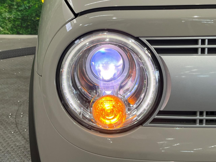 2019 Suzuki ALTO Lapin DBA-HE33S (UW-6a223e4644745)[16]