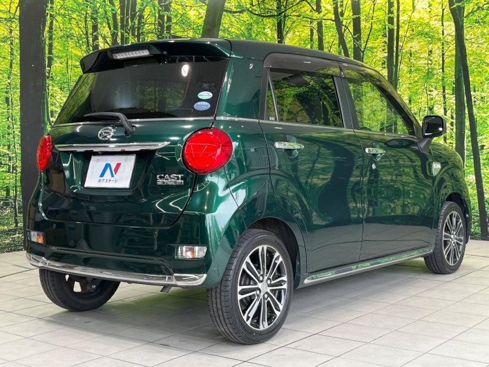2018 Daihatsu Cast DBA-LA250S (UW-6a223ea04cc91)[16]