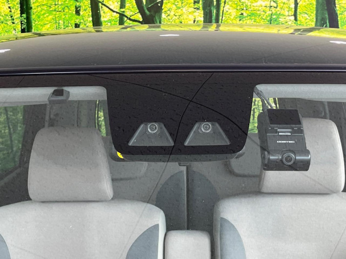 2018 Daihatsu Cast DBA-LA250S (UW-6a223ea04cc91)[21]
