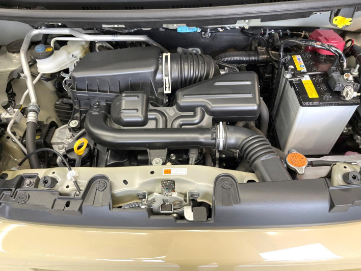 2025 Daihatsu Taft 5BA-LA900S (UW-6a223ec61453e)[4]