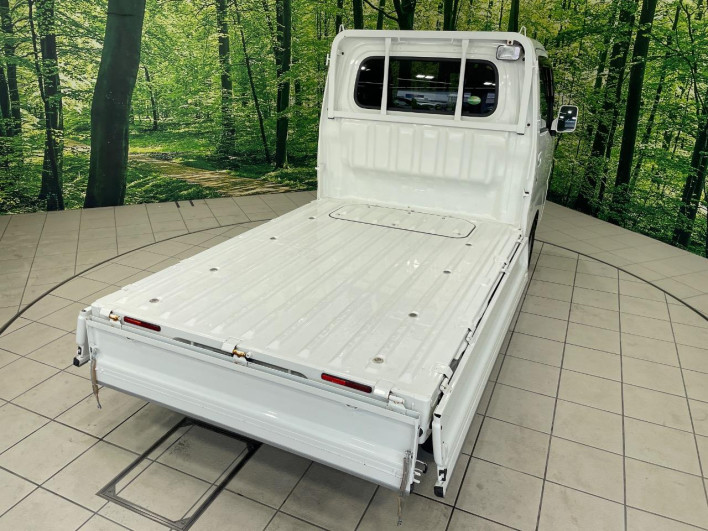 2018 Daihatsu Hiace Truck EBD-S510P (UW-6a223f75f29ea)[21]