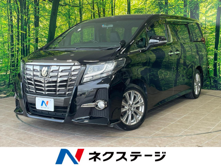 2017 Toyota Alphard DBA-AGH30W (UW-6a238ee830cfe)[3]