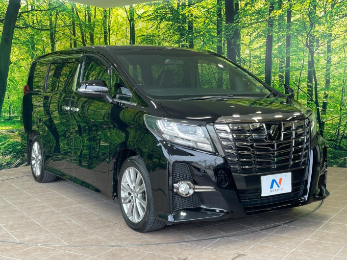 2017 Toyota Alphard DBA-AGH30W (UW-6a238ee830cfe)[15]