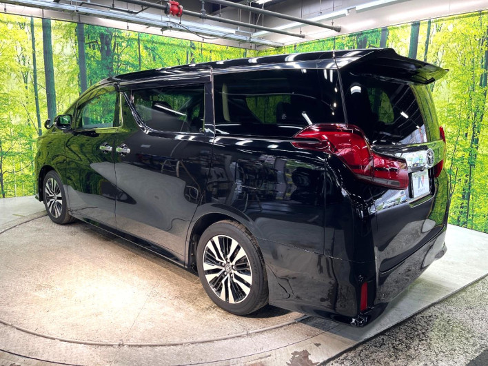 2018 Toyota Alphard DBA-AGH30W (UW-6a238ee96e707)[23]