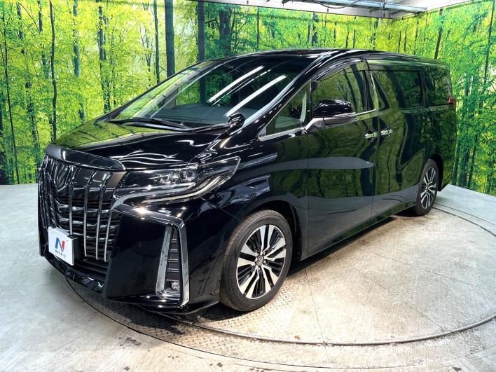 2018 Toyota Alphard DBA-AGH30W (UW-6a238ee96e707)[21]