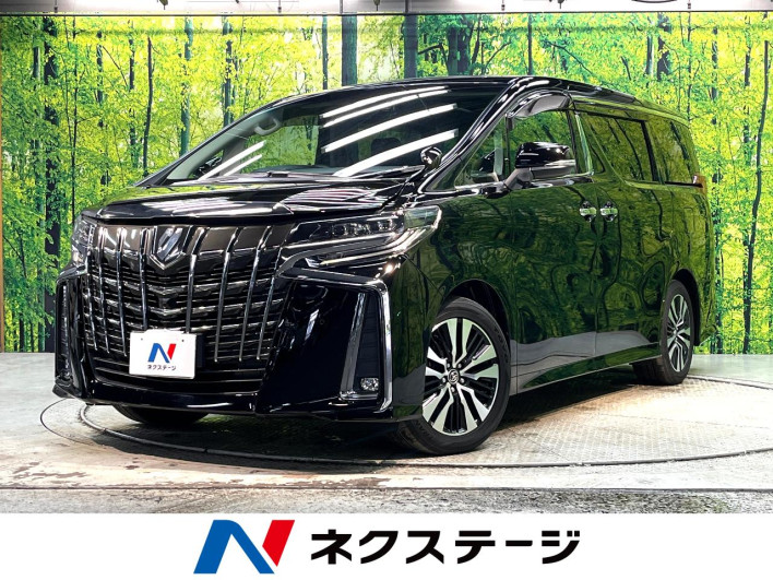 2018 Toyota Alphard DBA-AGH30W (UW-6a238ee96e707)[3]