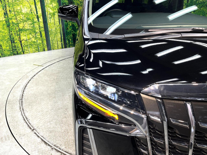 2018 Toyota Alphard DBA-AGH30W (UW-6a238ee96e707)[17]