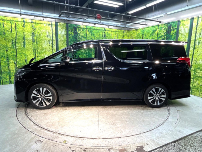 2018 Toyota Alphard DBA-AGH30W (UW-6a238ee96e707)[22]