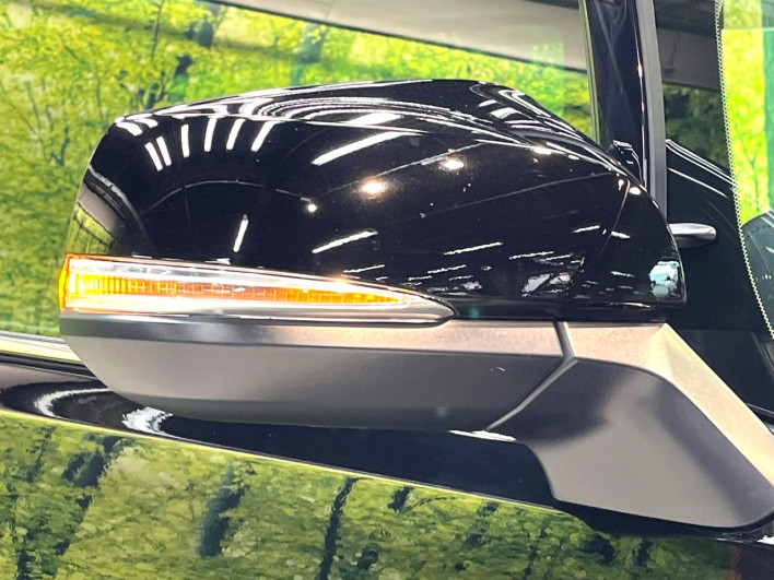 2018 Toyota Alphard DBA-AGH30W (UW-6a238ee96e707)[18]