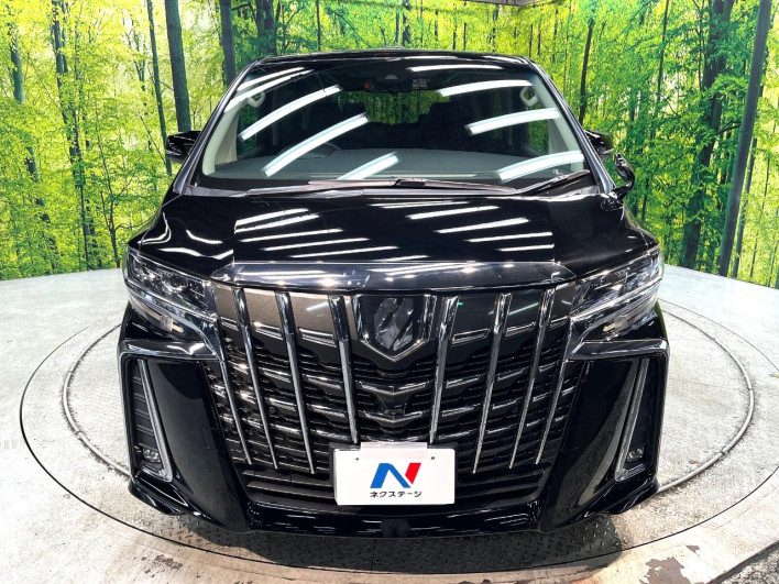 2018 Toyota Alphard DBA-AGH30W (UW-6a238ee96e707)[19]