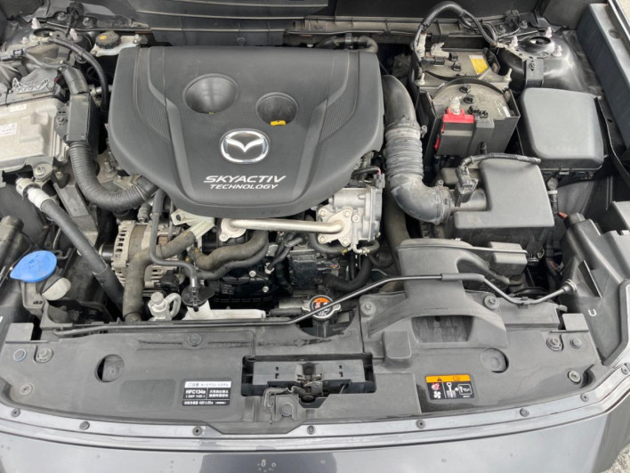 2016 Mazda CX-3 LDA-DK5FW (UW-6a238f3e851bc)[5]