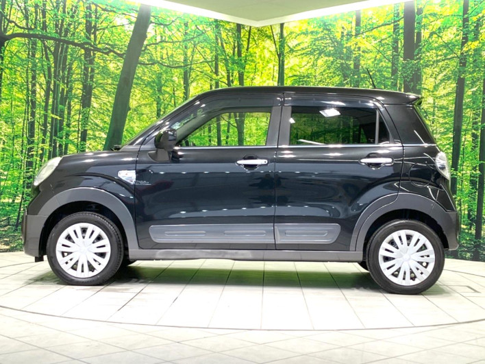 2016 Daihatsu Cast DBA-LA250S (UW-6a238ff38b6d2)[15]