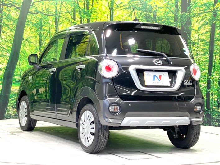 2016 Daihatsu Cast DBA-LA250S (UW-6a238ff38b6d2)[16]