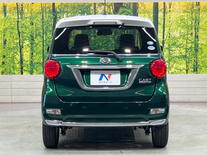 2019 Daihatsu Cast DBA-LA250S (UW-6a238ff5a87d0)[21]