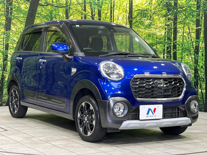 2015 Daihatsu Cast DBA-LA260S (UW-6a238ff67a386)[8]