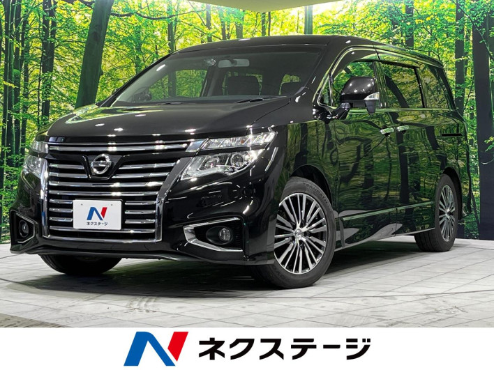 2016 Nissan Elgrand DBA-TNE52 (UW-6a2390cf66133)[3]