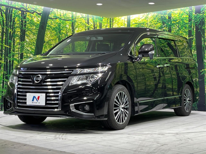 2016 Nissan Elgrand DBA-TNE52 (UW-6a2390cf66133)[14]