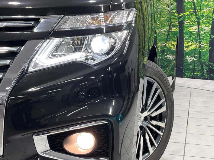 2016 Nissan Elgrand DBA-TNE52 (UW-6a2390cf66133)[7]