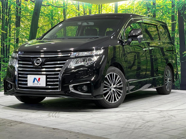 2016 Nissan Elgrand DBA-TNE52 (UW-6a2390cf66133)[0]