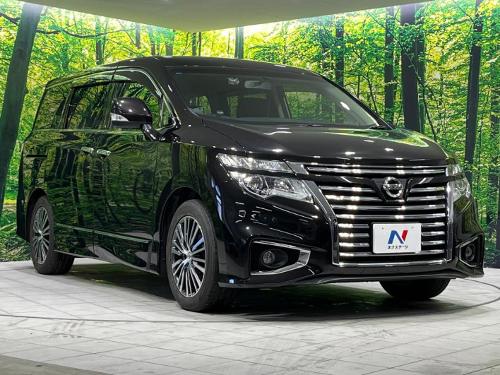 2016 Nissan Elgrand DBA-TNE52 (UW-6a2390cf66133)[20]