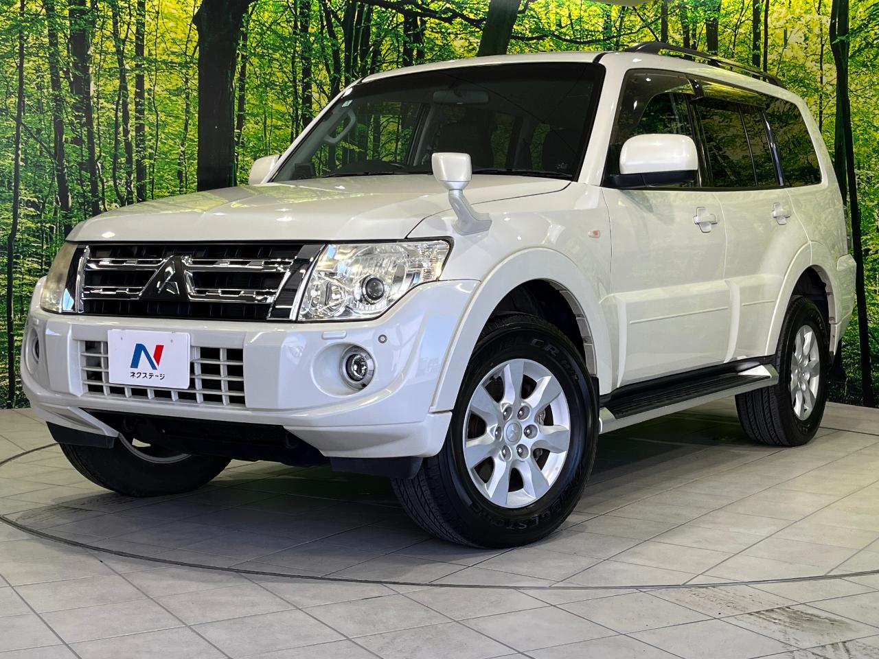 2012 Mitsubishi Pajero LDA-V98W