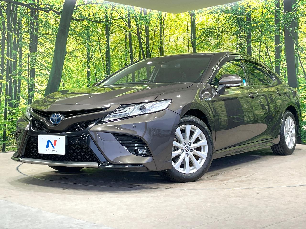 2019 Toyota Camry DAA-AXVH70