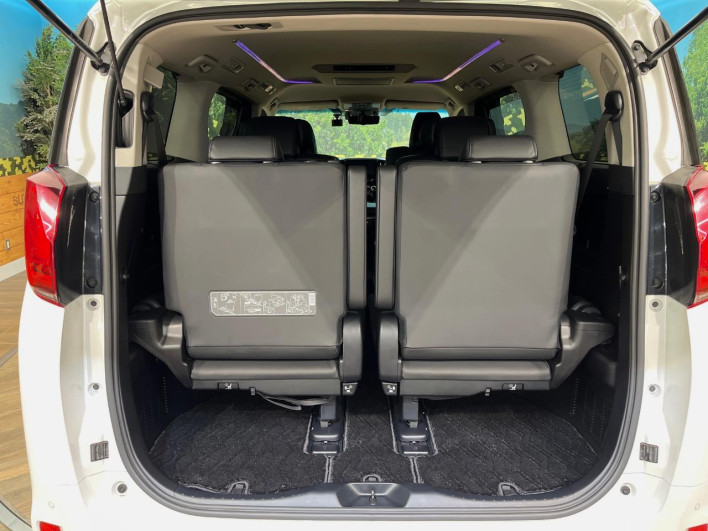 2020 Toyota Alphard Hybrid 6AA-AYH30W (UW-6a24dfef54d00)[11]