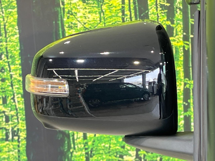 2019 Nissan DAYZ ROOX DBA-B21A (UW-6a24dffa8b2f0)[23]
