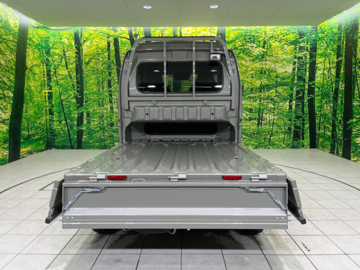 2025 Suzuki Super Carry 3BD-DA16T (UW-6a24e01bf246a)[29]