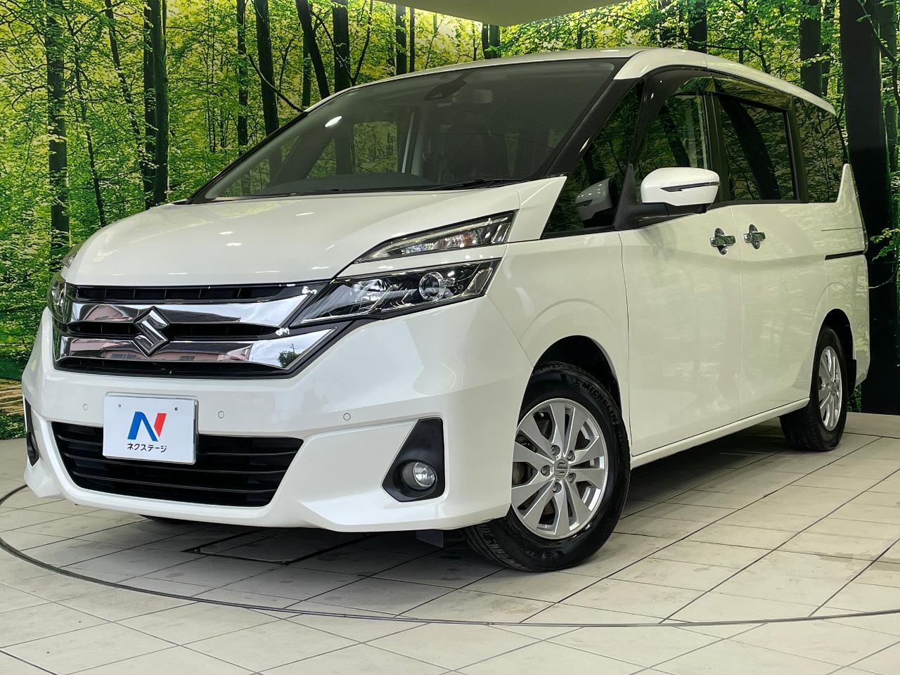 2017 Suzuki Randy DAA-SGC27