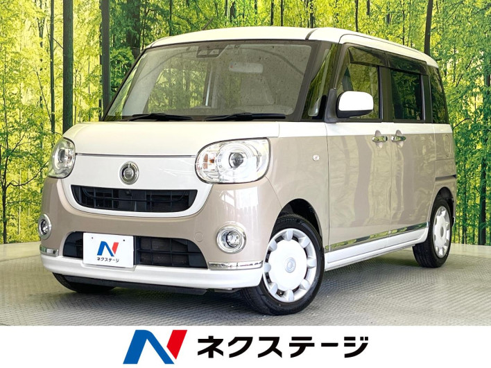 2019 Daihatsu Move Canbus 5BA-LA800S (UW-6a24e0c99ed46)[3]